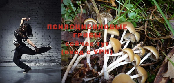 бутират Арсеньев