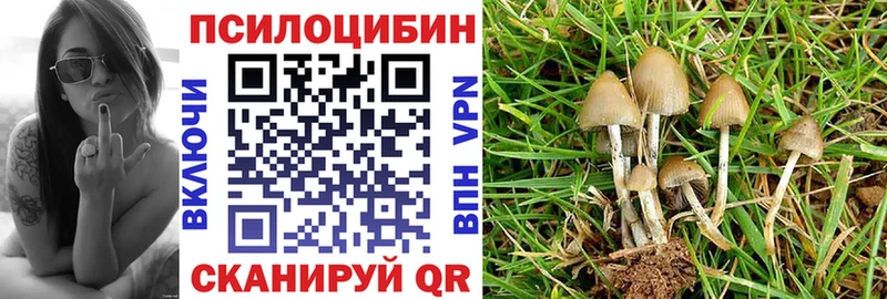 Псилоцибиновые грибы Cubensis Мелеуз